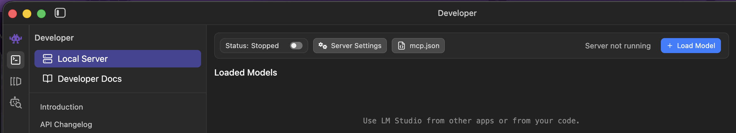 LM Studio - Developer tab